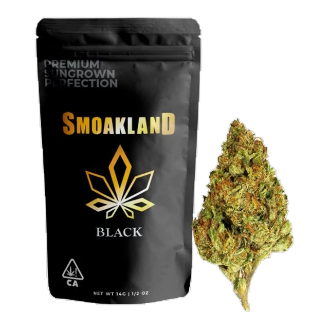 BLACK - GovernMint Oasis