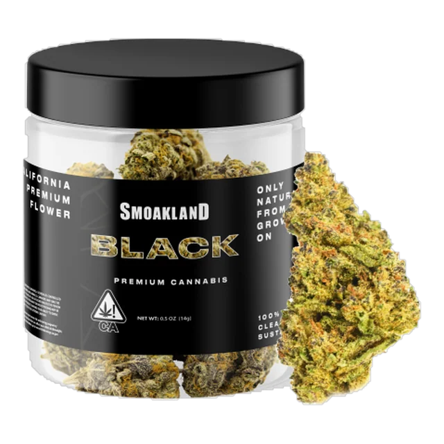 Black - Headband H - 14g Jar
