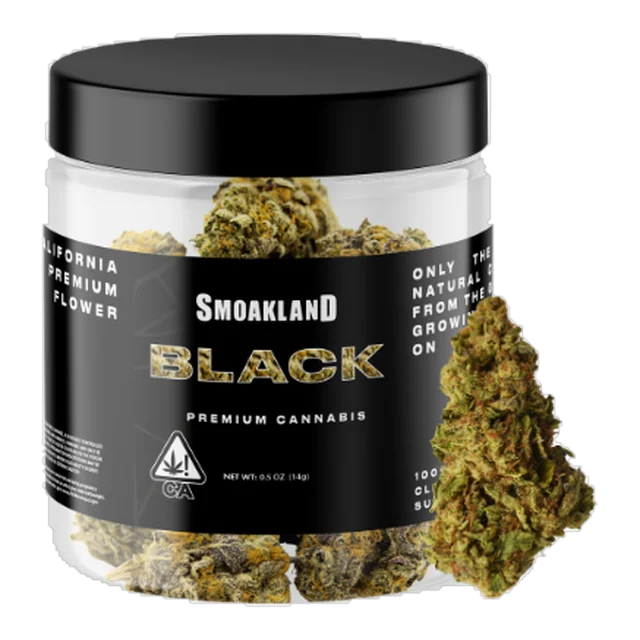 Black - Irish Cream I - 14g Jar