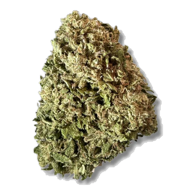 BLACK - Pineapple Jack