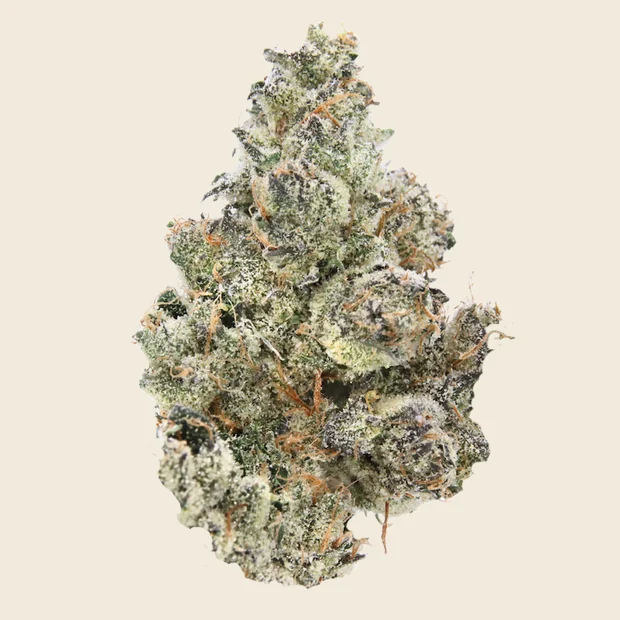 Bubblegum - 3.5g (H) - Sense