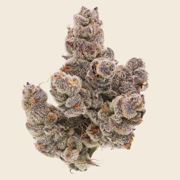 Chem Kardashian - 3.5g (H) - Sense