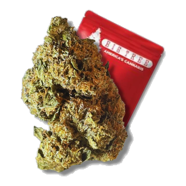 Cookie Jar