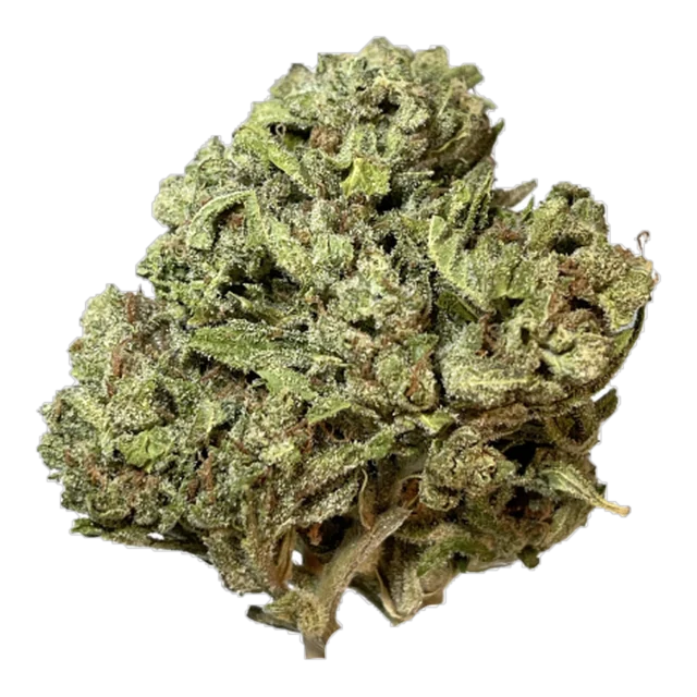 Exclusive - Gorilla Glue
