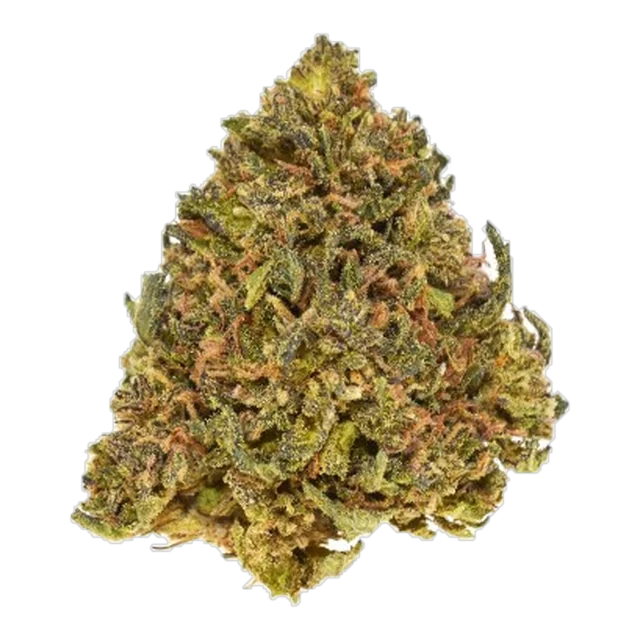 Exclusive - Granny Candy