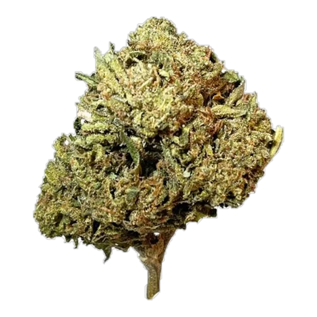 Exclusive - Lemon Cherry Sherbet