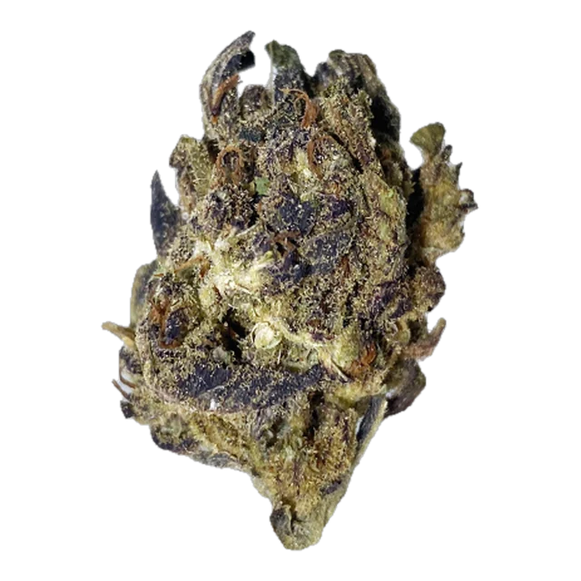 Exclusive - Purple Cookies