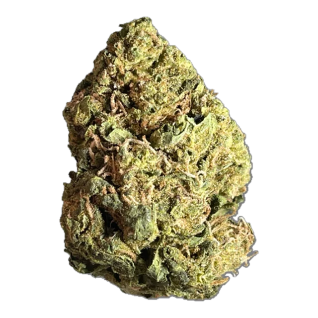Exclusive - Rainbow Chip
