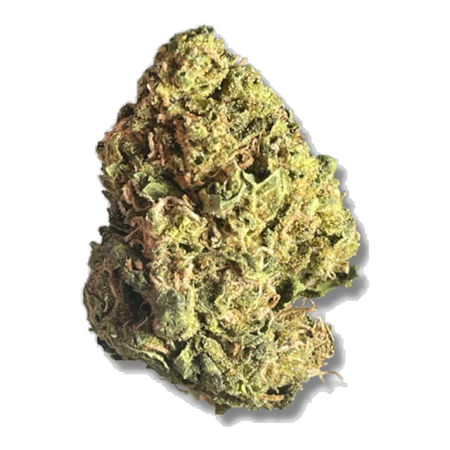 Exclusive - Rainbow Zkittlez