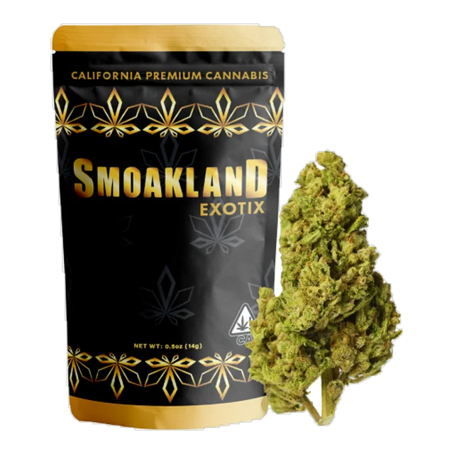 Exotix - Animal Cookies