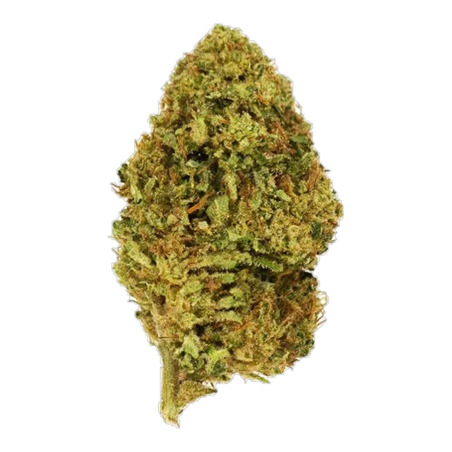 Exotix - Garlic Breath