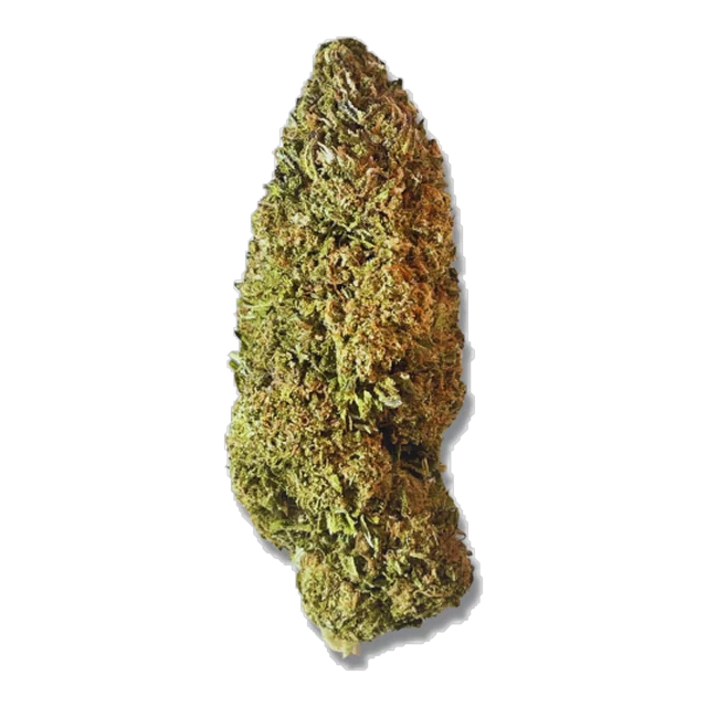 Exotix - Grand Daddy Purple