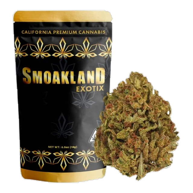 Exotix - GSC