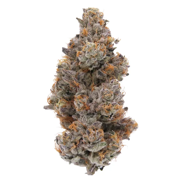 Guava Bomba - 3.5g (IH) - Sense