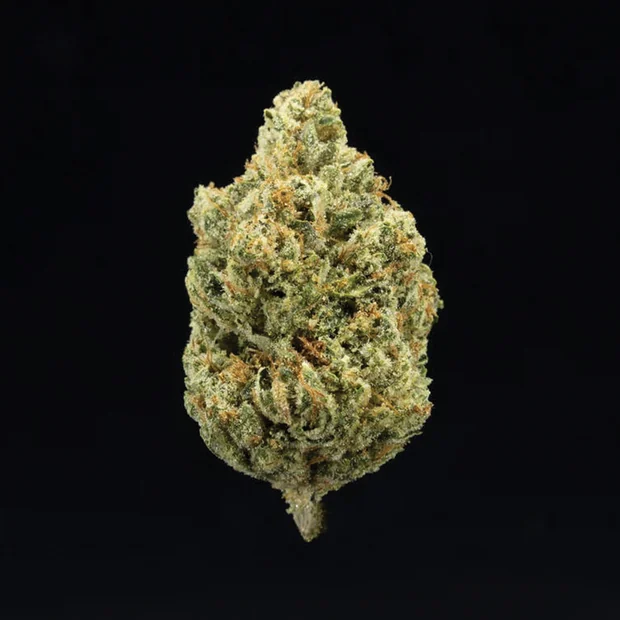 Headband - 3.5g (H) - UpNorth