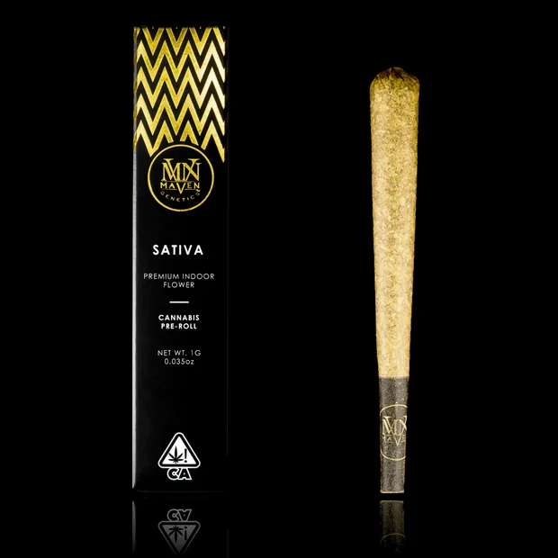 Pineapple Biscotti - 1g S - Maven Genetics