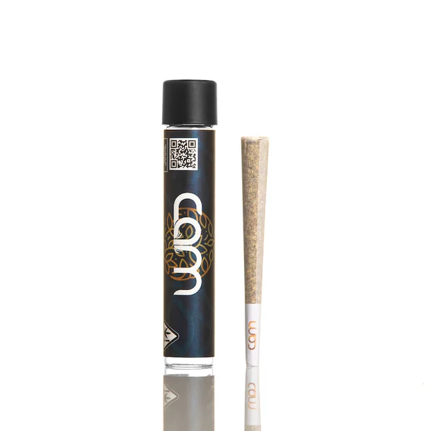 SFV OG - Preroll - 1g I - CAM