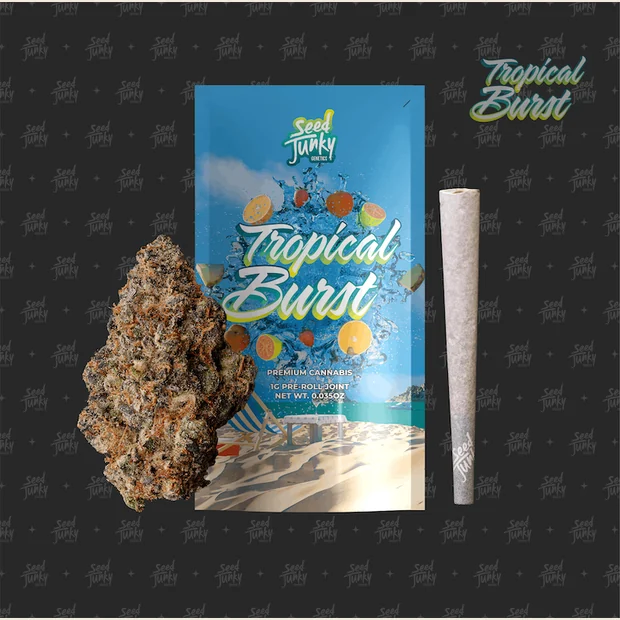 Tropical Burst - 1g S - Seed Junky