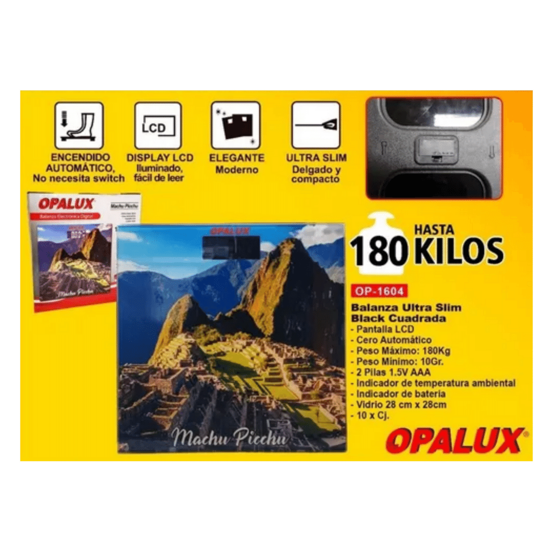 Vista 4