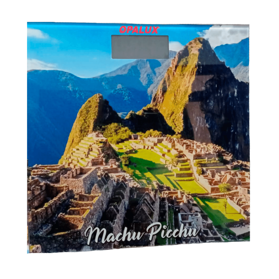 Vista 5