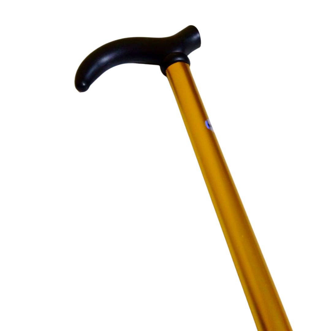 Vista 6