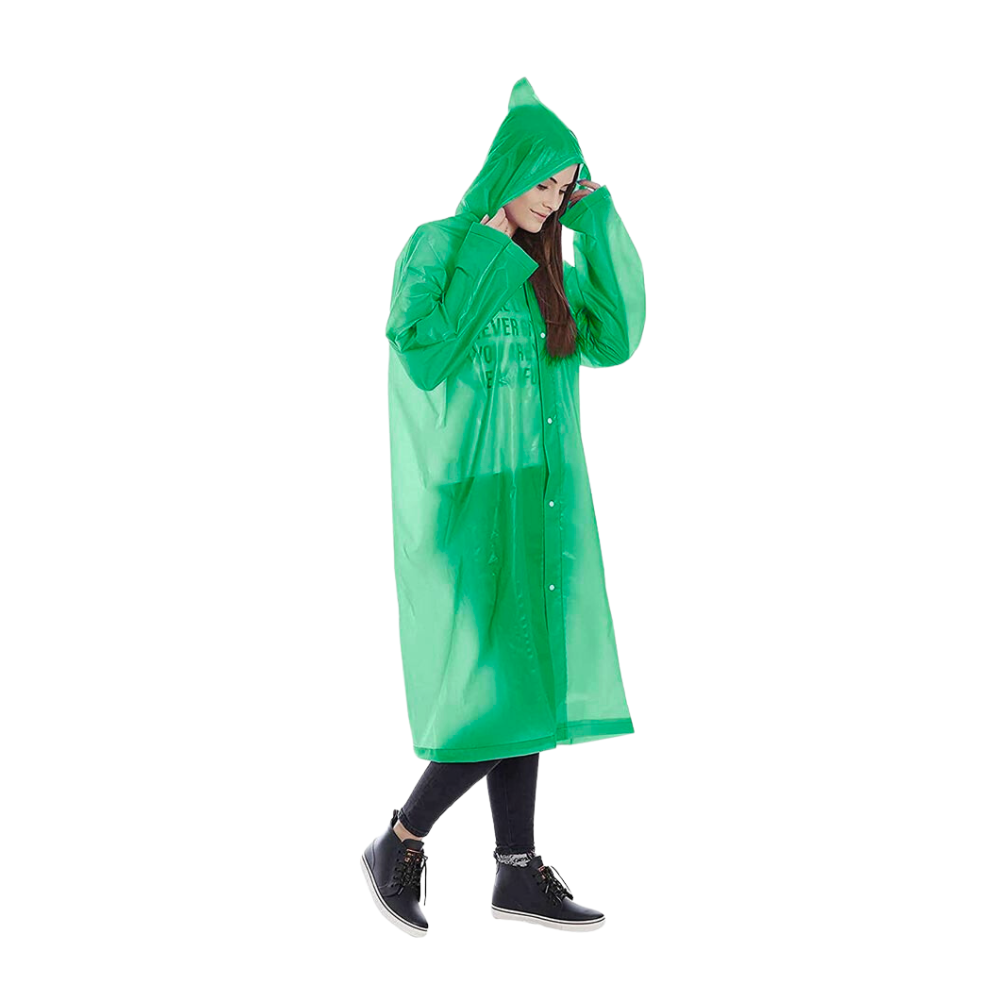 Vista 4