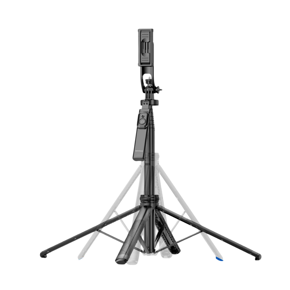 Vista 2