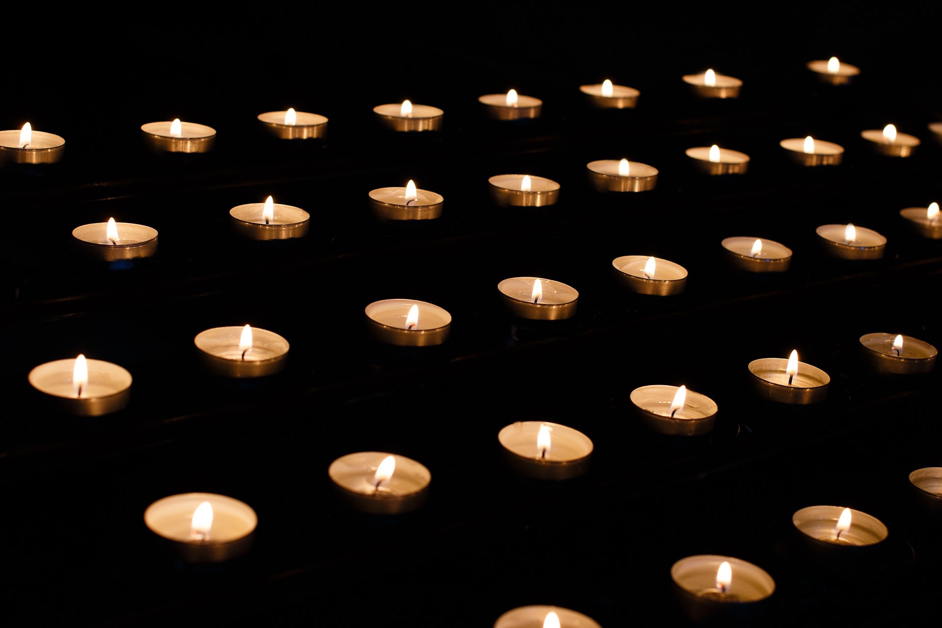 Panakhyda for the Victims of Holodomor at Eisenhower Park Panakhyda for the Victims of Holodomor at Eisenhower Park