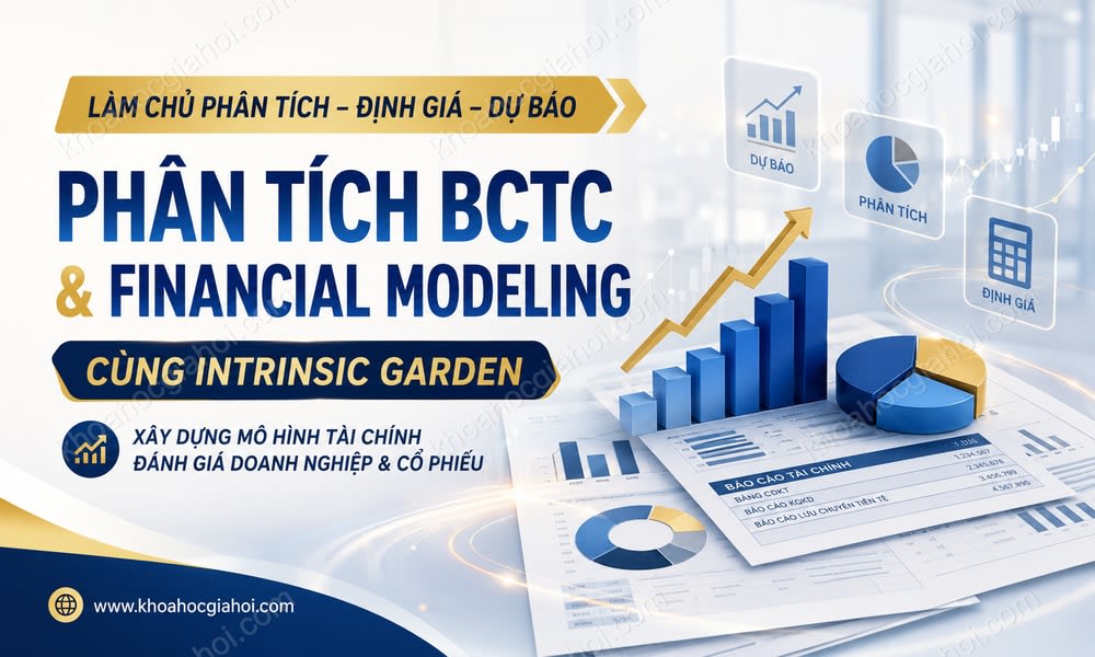 Khóa Học Phân Tích Bctc Và Financial Modeling Cùng Intrinsic Garden