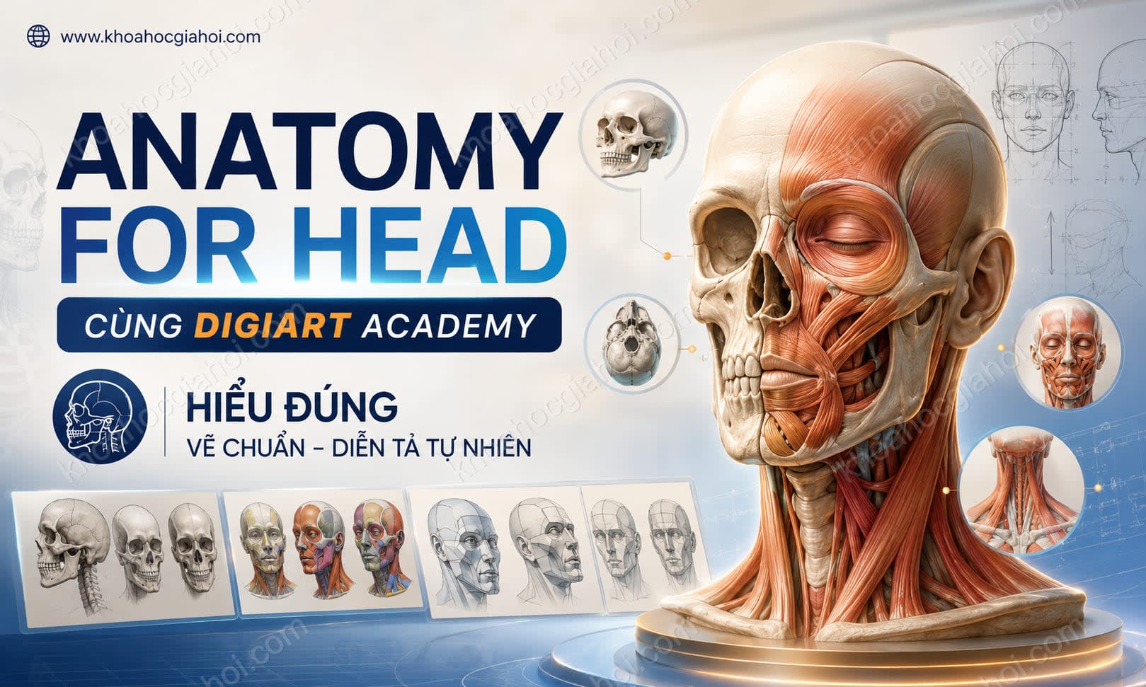 Khóa Học Anatomy For Head Cùng Digiart Academy