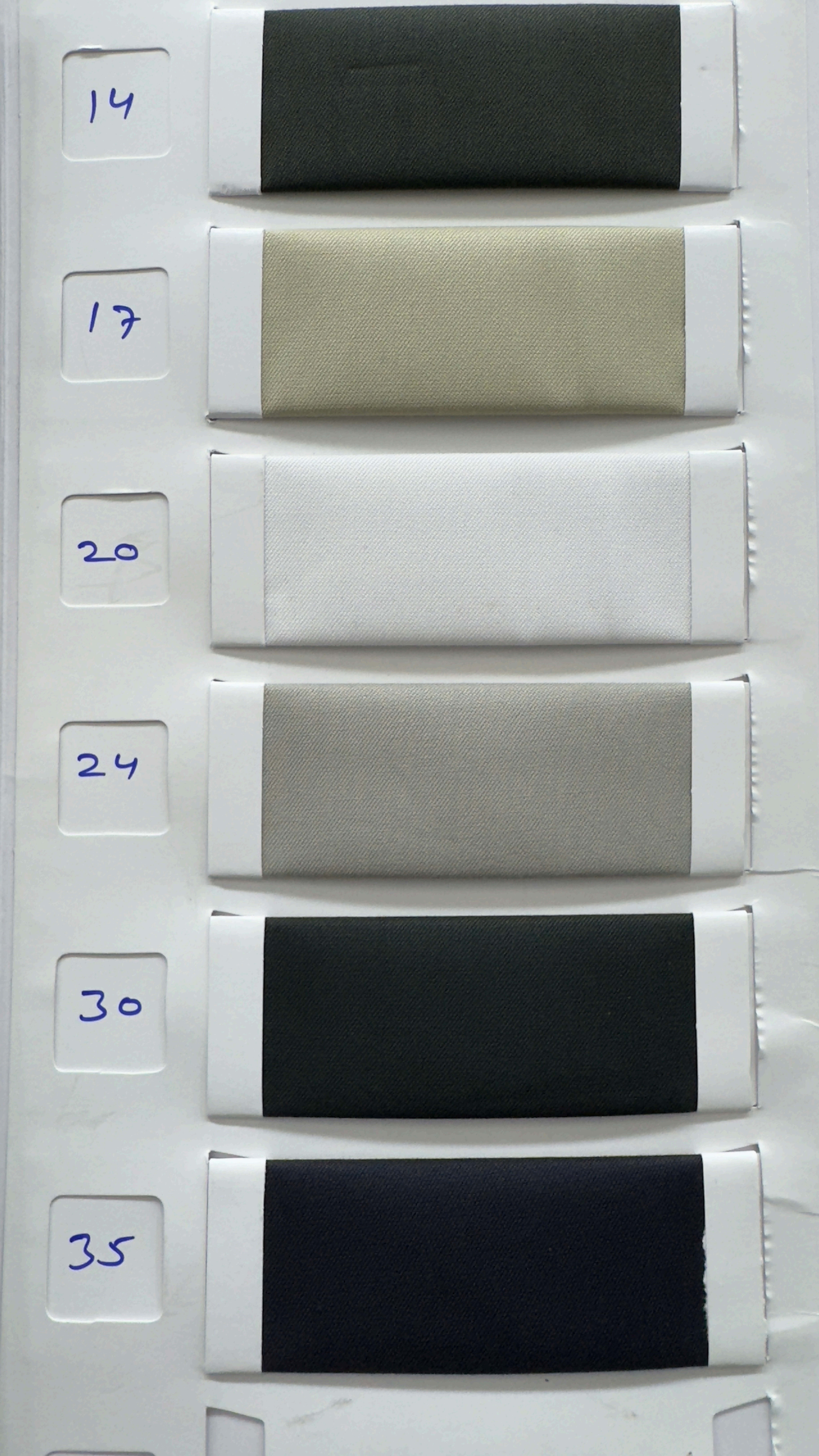 Lomani Lycra Thumbnail