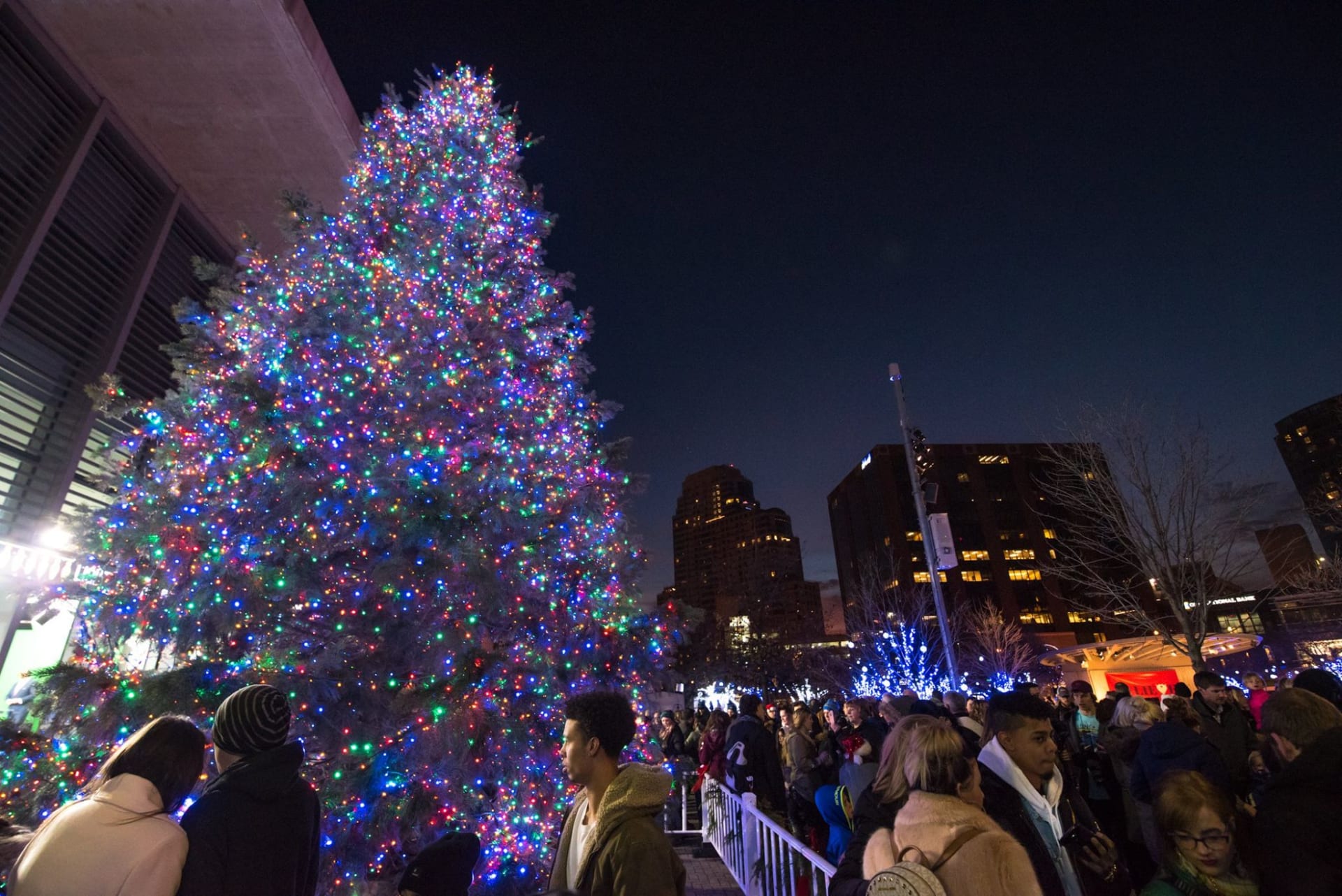 Grand Rapids Tree Lighting 2025 Brande Shanna