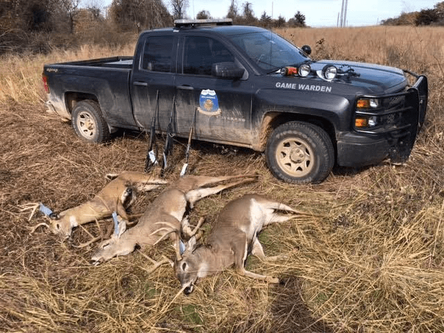 Men cited for illegally hunting deer