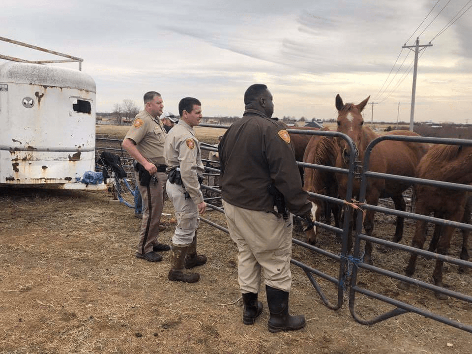 49 animals seized from Tulsa County property