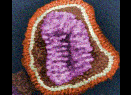 Oklahoma flu deaths hit 18 for the season
