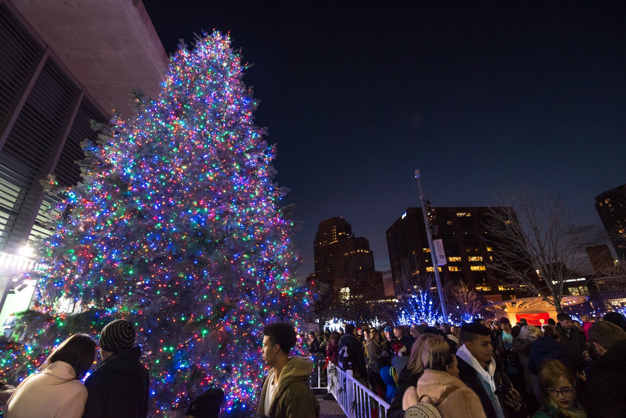 Grand Rapids Tree Lighting to take place December 2nd Verified News