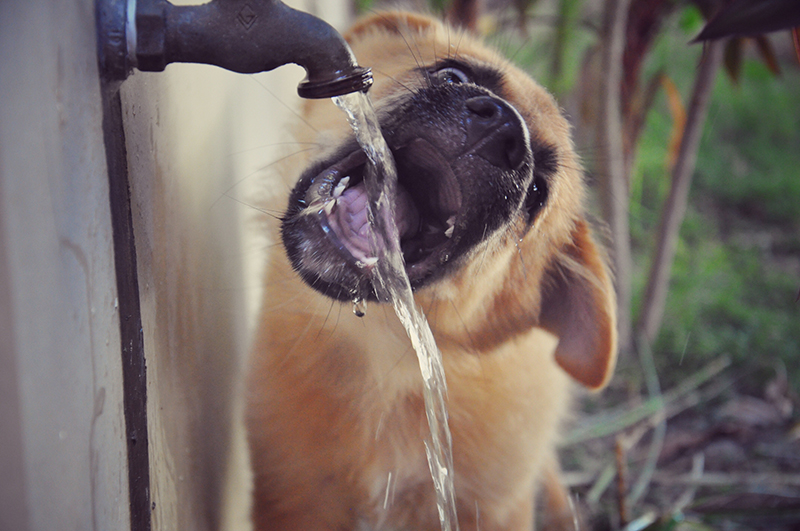 Stay hydrated this month