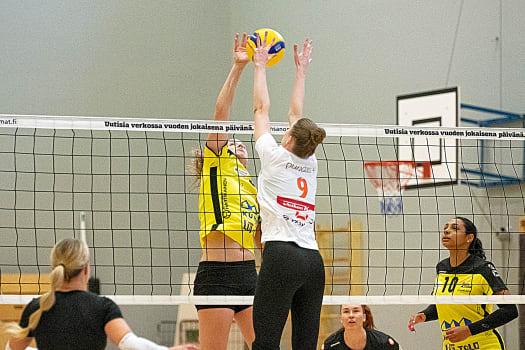 volleynetwork international - athletes - action picture - volleyball professional olena napalkova blocking