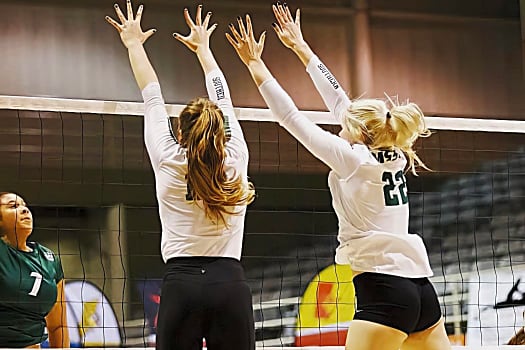 volleynetwork international - athletes - action picture - volleyball professional irina alekseeva blocking