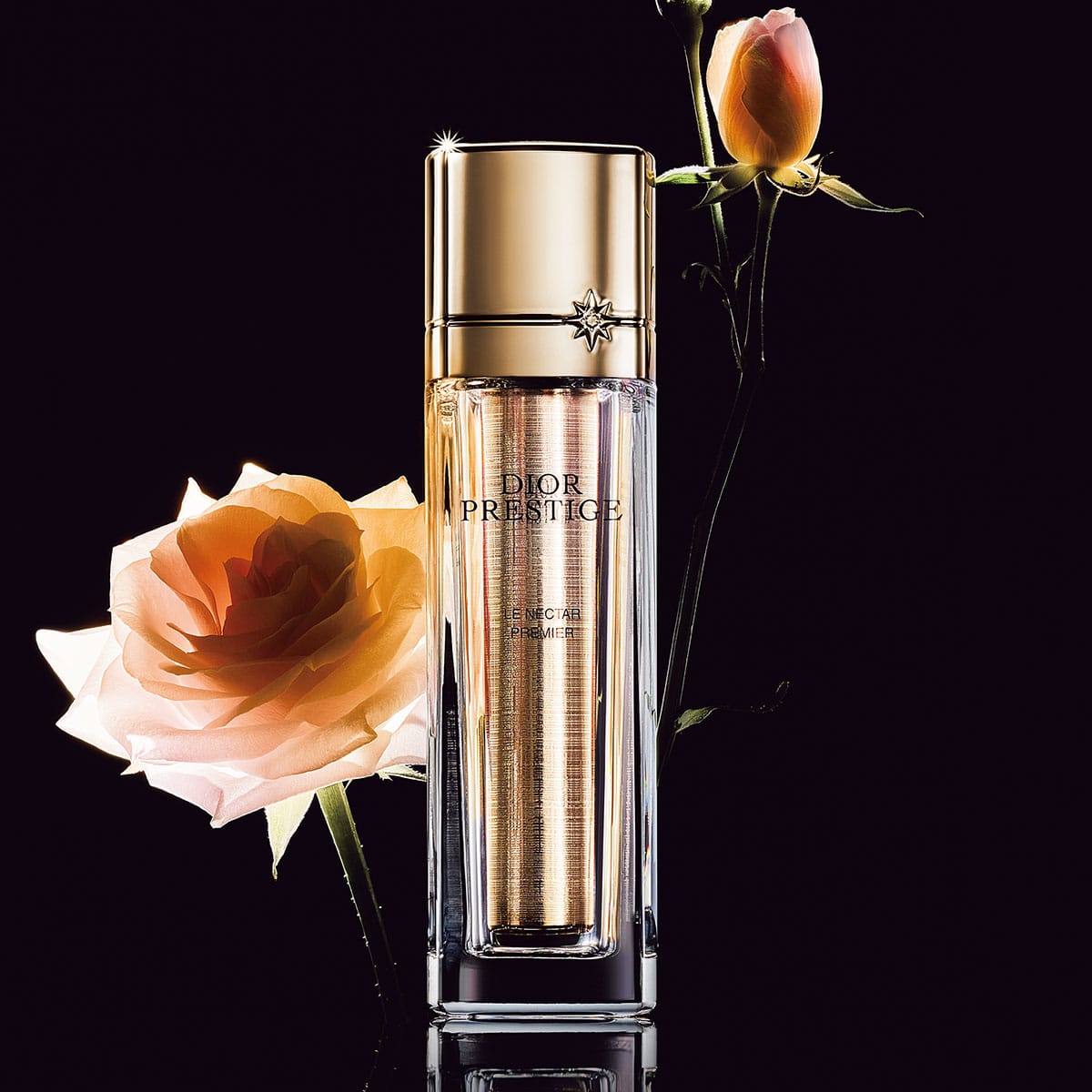 至高の美容液がディオールから誕生。類い稀なるローズの恵みで美しさの