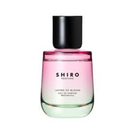 shiroビーライクユー BE LIKE YOU オードパルファン | SHIROオフィシャルサイト