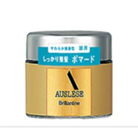 アウスレーゼプリランチンN ポマード 120g 【業務用】2個 アウスレーゼ ブリランチンN｜美容メディアVOCE（ヴォーチェ）