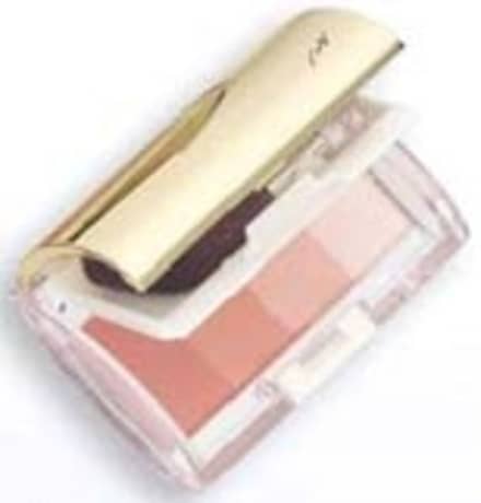 資生堂 シセイドウ ピエヌ ブロッサミングフェース（フォー チークス