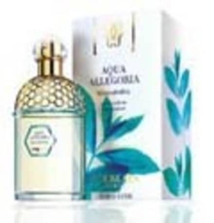 廃盤 レア 】アクア アレゴリア ミント フォーリア 廃盤 レア 】アクア