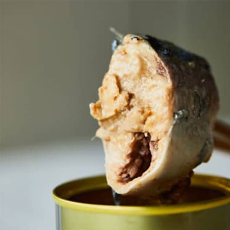 【サバ缶】でお正月太り解消!これはおいしいんだわ!【レシピ付き】