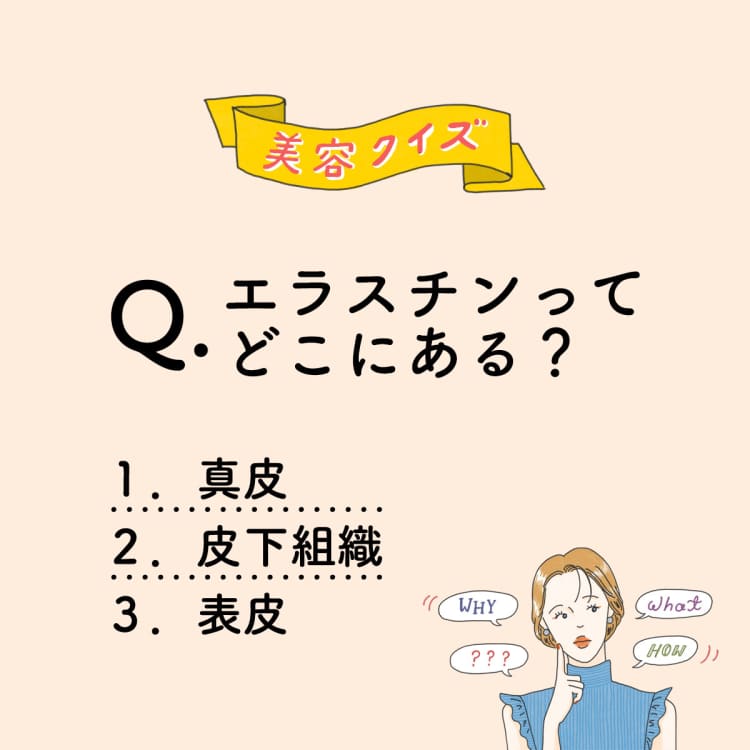 エラスチンってどこにある?【美容ミニクイズ】vol.23