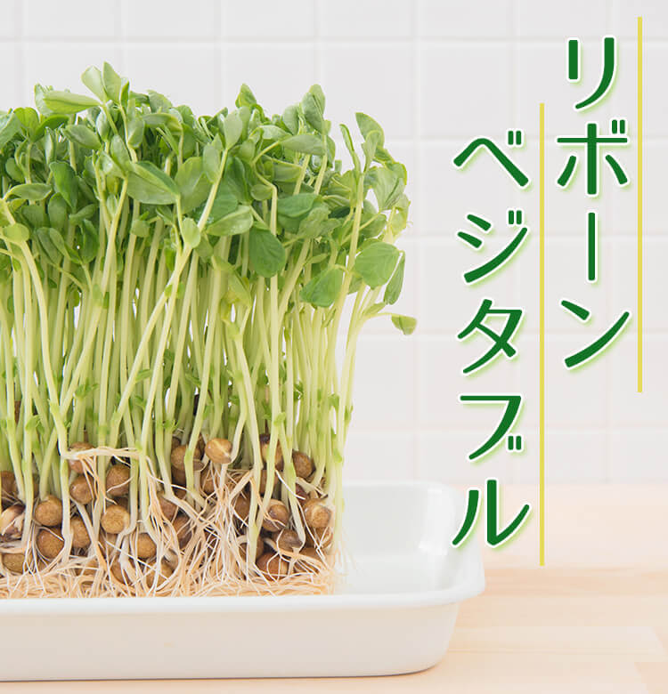 タダで始められる 土いらず リボベジ 再生野菜 の魅力 ビューティニュース 美容メディアvoce ヴォーチェ