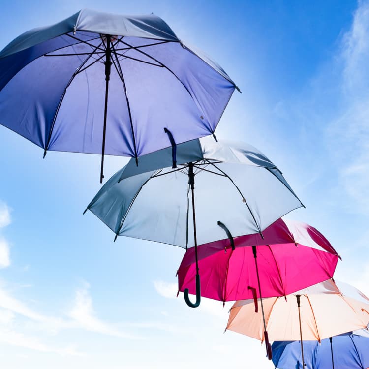 永久保存版【どこよりも詳しい日傘ガイド】傘ソムリエが伝授!〝焼けない日傘″の選び方・おすすめ日傘・お手入れ方法!