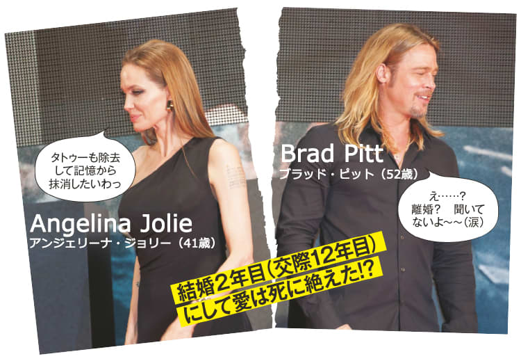 アンジー ブラピ ブランジェリーナの離婚の理由3 結婚2年目で愛は途絶えていた ビューティニュース 美容メディアvoce ヴォーチェ アンジー ブラピ ブランジェリーナの離婚の理由3 結婚2年目で愛は途絶えていた ビューティニュース 美容メディアvoce ヴォーチェ