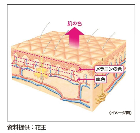 色黒女子と色白女子では 美白の効かせ方が違うと判明 肌色別ケア法はコレ ビューティニュース 美容メディアvoce ヴォーチェ 色黒女子と色白女子では 美白の効かせ方が違うと判明 肌色別ケア法はコレ ビューティニュース 美容メディアvoce ヴォーチェ